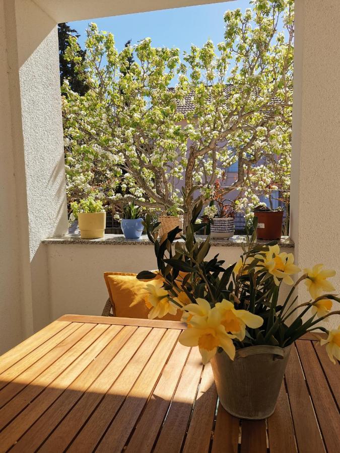 Apartman Soto Pirovac Exterior foto